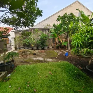 halaman untuk tanaman