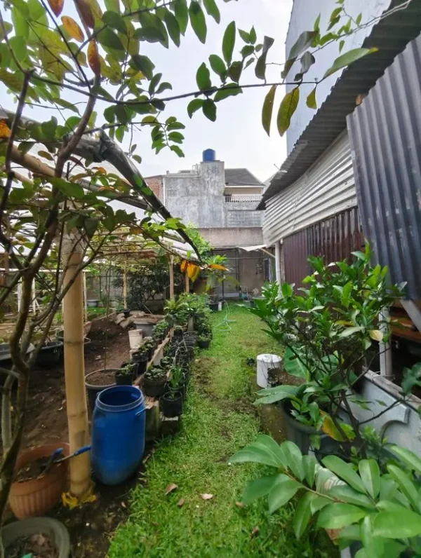 halaman untuk tanaman