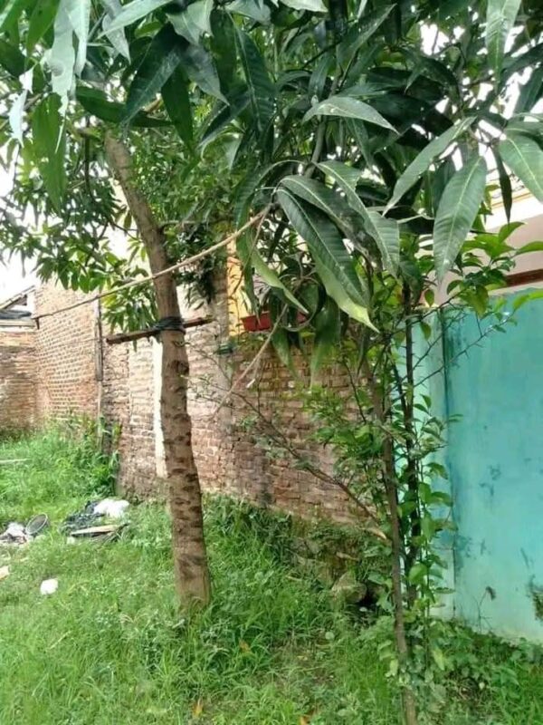 [RBT179] Jual Cepat Rumah Lokasi Gunung Leutik Ciparay - Gambar 5