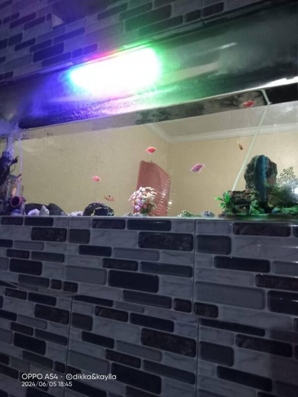 [RBT151] Dijual Rumah di Cipicung Baleendah - Gambar 6