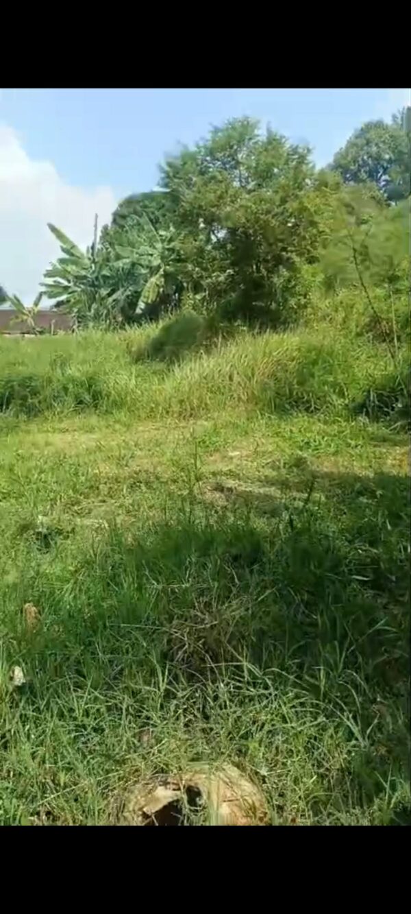 [RBT080] Jual Tanah Kapling Cidadap Cimbukuit 155m2 Rp. 7jt/m2 Nego .. - Gambar 7