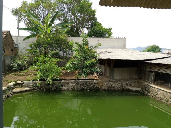 [RBT029] Dijual Tanah dan Bangunan di Bojongsoang - Gambar 2