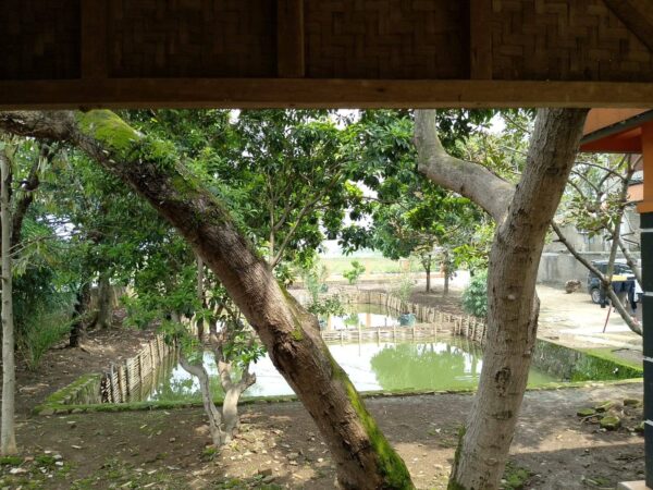 [RBT029] Dijual Tanah dan Bangunan di Bojongsoang - Gambar 5