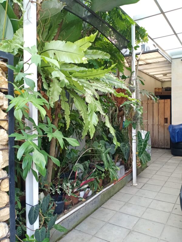 [RBT011] Dijual Rumah Tinggal di Saranten Kulon Arcamanik - Gambar 5