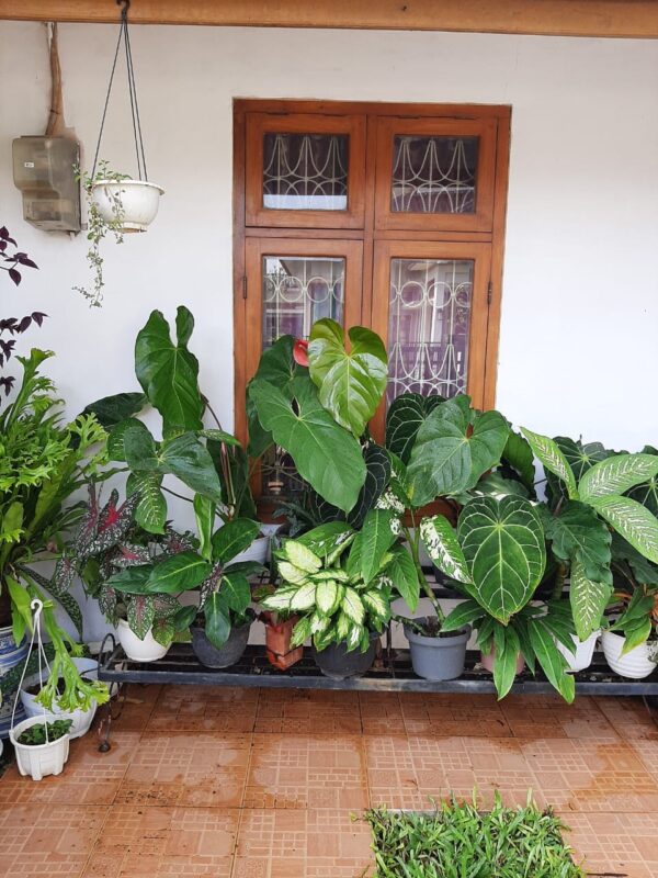 [RBT630] Jual Rumah Rancaekek Kencana. Blok 1 - Gambar 9