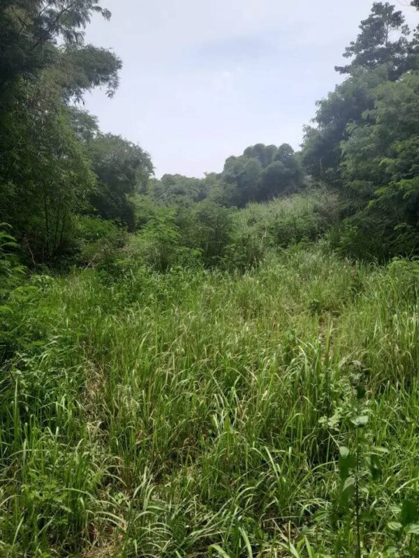 [RBT487] Dijual Lahan Zona Kuning Bagus Buat Perumahan Lokasi Daerah Ciparay - Ciheulang Kab.Bandung - Gambar 3
