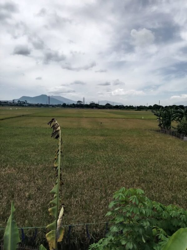 [RBT208] Dijual Rumah 2 Lantai di Gedebage, Bandung Timur - Gambar 8