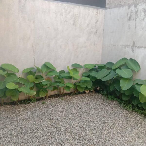 [RBT597] Di Jual Rumah Dekat Kampus UPI Cibiru,Bandung Timur - Gambar 2