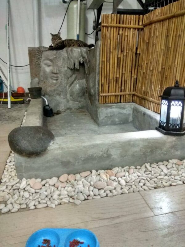 [RBT524] Rumah di Cisaranten Kulon Arcamanik - Gambar 2