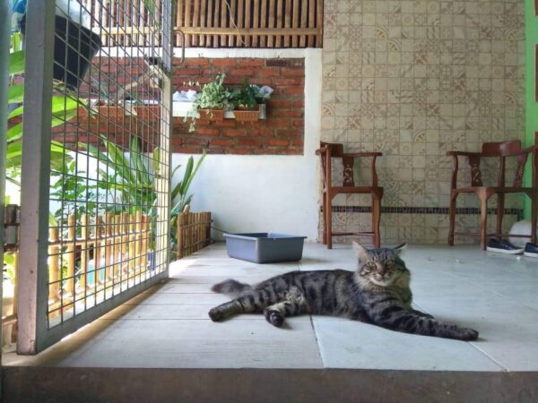 [RBT524] Rumah di Cisaranten Kulon Arcamanik - Gambar 4