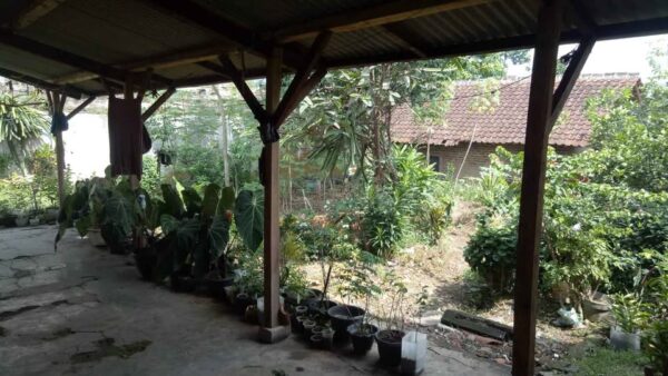 [RBT627] Rumah Siap Huni di CIparay - Gambar 7