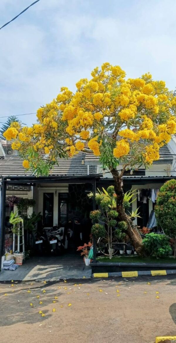 [RBT509] Rumah di daerah Cimekar - Cileunyi - Gambar 9